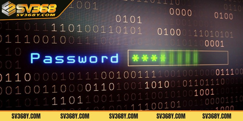 Khôi phục mật khẩu khi quên bằng cách nào?