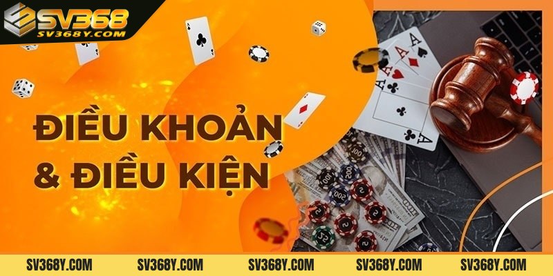 Điều khoản & điều kiện là gì?